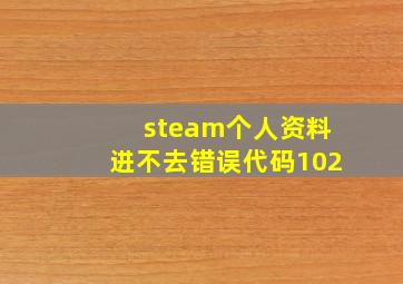 steam个人资料进不去错误代码102