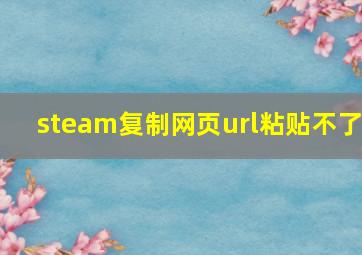 steam复制网页url粘贴不了