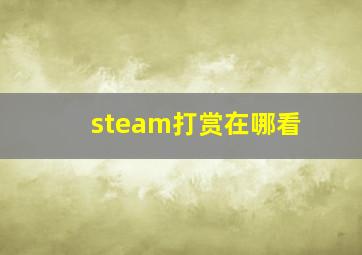 steam打赏在哪看