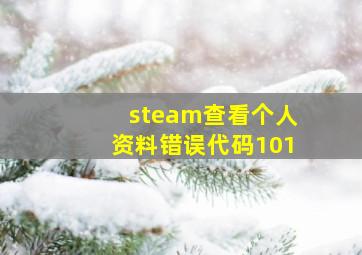 steam查看个人资料错误代码101