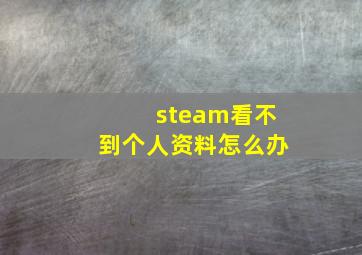 steam看不到个人资料怎么办