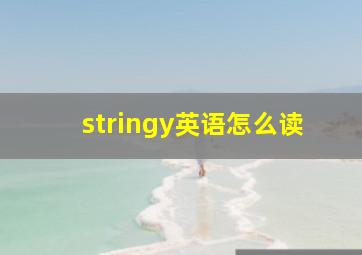 stringy英语怎么读