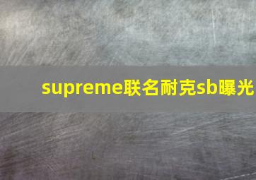 supreme联名耐克sb曝光