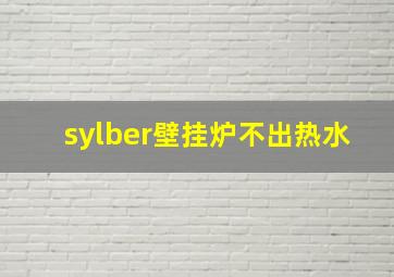 sylber壁挂炉不出热水