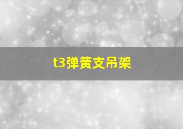 t3弹簧支吊架