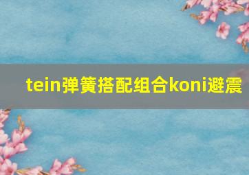 tein弹簧搭配组合koni避震