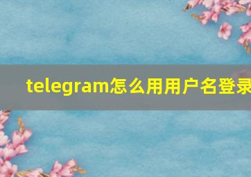 telegram怎么用用户名登录