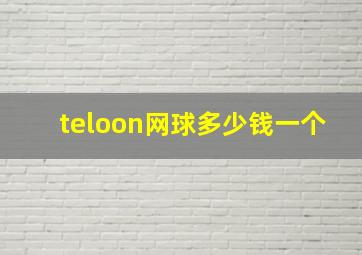 teloon网球多少钱一个