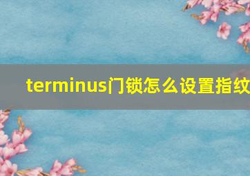 terminus门锁怎么设置指纹