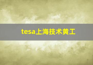 tesa上海技术黄工