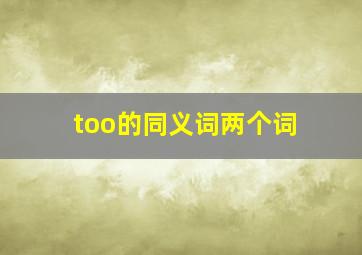 too的同义词两个词