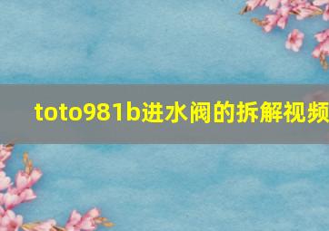 toto981b进水阀的拆解视频