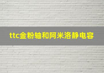 ttc金粉轴和阿米洛静电容