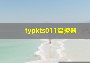 typkts011温控器