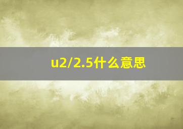 u2/2.5什么意思