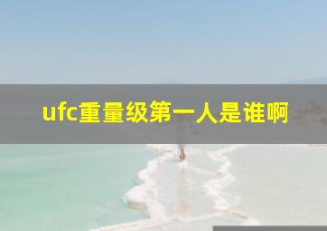 ufc重量级第一人是谁啊