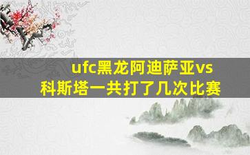 ufc黑龙阿迪萨亚vs科斯塔一共打了几次比赛