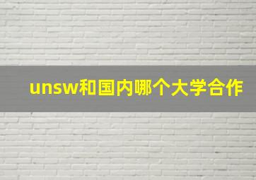 unsw和国内哪个大学合作