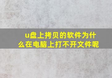 u盘上拷贝的软件为什么在电脑上打不开文件呢