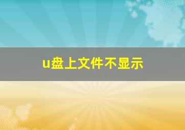 u盘上文件不显示