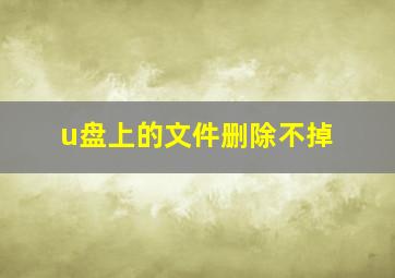 u盘上的文件删除不掉