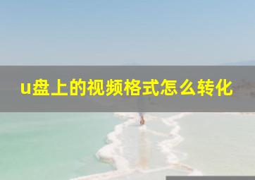 u盘上的视频格式怎么转化