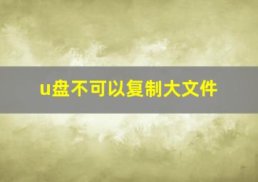 u盘不可以复制大文件