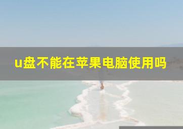 u盘不能在苹果电脑使用吗