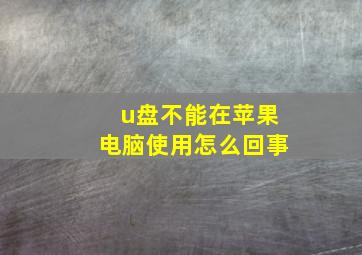 u盘不能在苹果电脑使用怎么回事