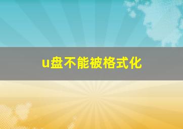 u盘不能被格式化