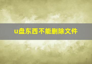 u盘东西不能删除文件