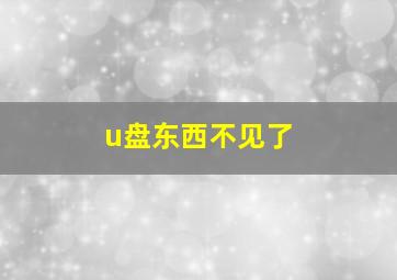 u盘东西不见了