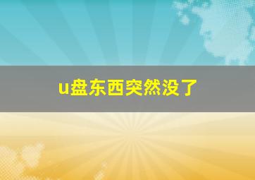 u盘东西突然没了