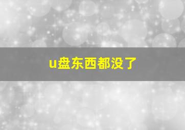 u盘东西都没了