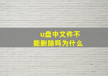 u盘中文件不能删除吗为什么