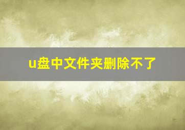 u盘中文件夹删除不了