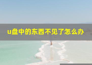 u盘中的东西不见了怎么办