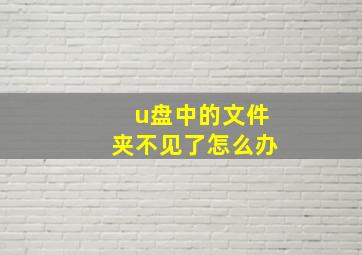 u盘中的文件夹不见了怎么办