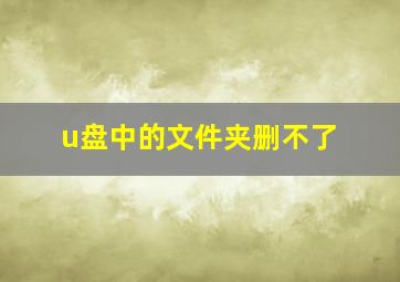 u盘中的文件夹删不了