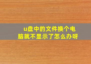 u盘中的文件换个电脑就不显示了怎么办呀