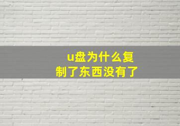 u盘为什么复制了东西没有了