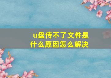 u盘传不了文件是什么原因怎么解决