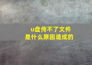 u盘传不了文件是什么原因造成的