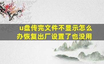 u盘传完文件不显示怎么办恢复出厂设置了也没用