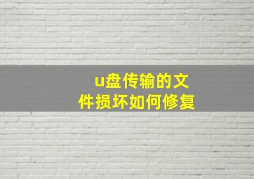 u盘传输的文件损坏如何修复