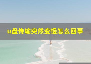 u盘传输突然变慢怎么回事