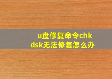 u盘修复命令chkdsk无法修复怎么办