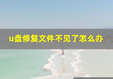 u盘修复文件不见了怎么办