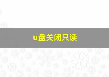 u盘关闭只读