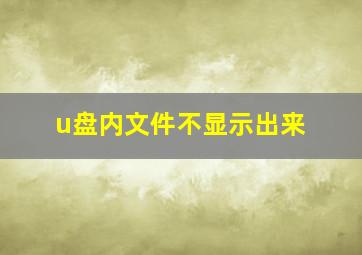 u盘内文件不显示出来